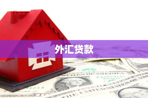 锡山外汇贷款