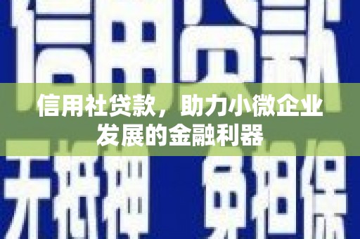 锡山信用社贷款，助力小微企业发展的金融利器