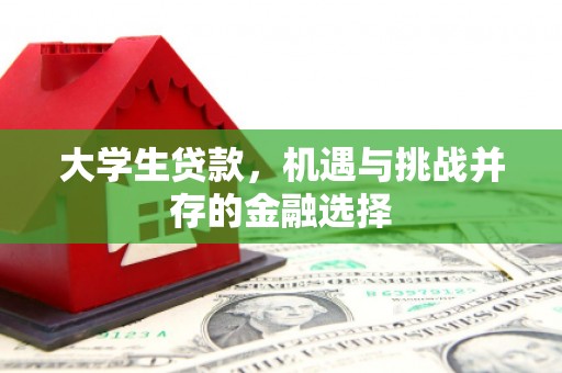 锡山大学生贷款，机遇与挑战并存的金融选择