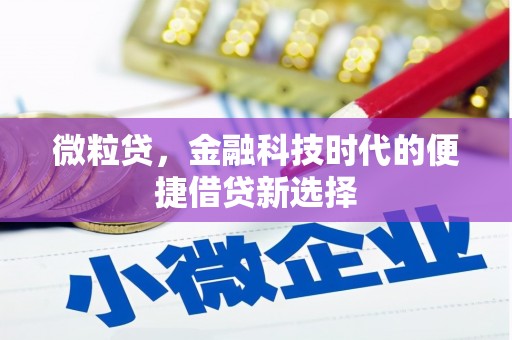 锡山微粒贷，金融科技时代的便捷借贷新选择
