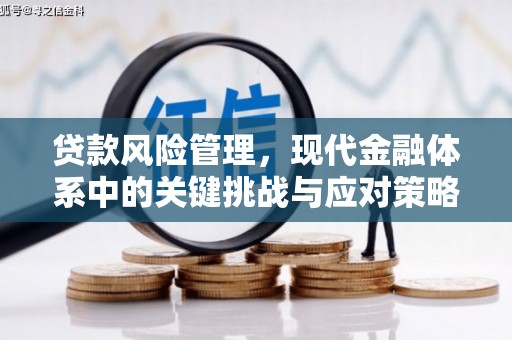 锡山贷款风险管理，现代金融体系中的关键挑战与应对策略